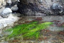 Тишина бухты Тихой.