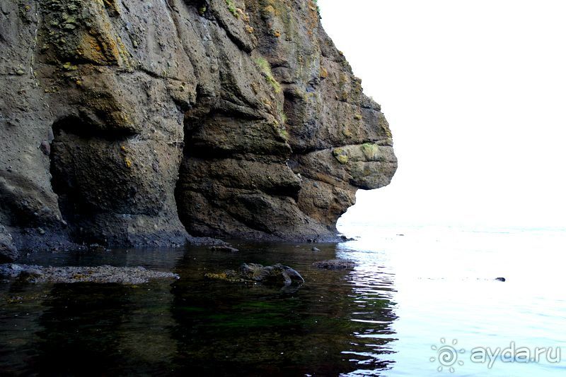 Тишина бухты Тихой.