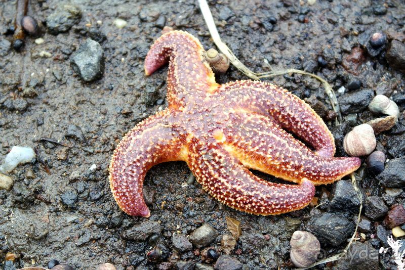 Тишина бухты Тихой.