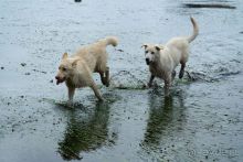 Тишина бухты Тихой.