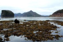 Тишина бухты Тихой.