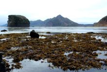 Тишина бухты Тихой.