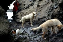 Тишина бухты Тихой.