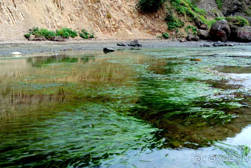 Тишина бухты Тихой.