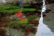 Тишина бухты Тихой.