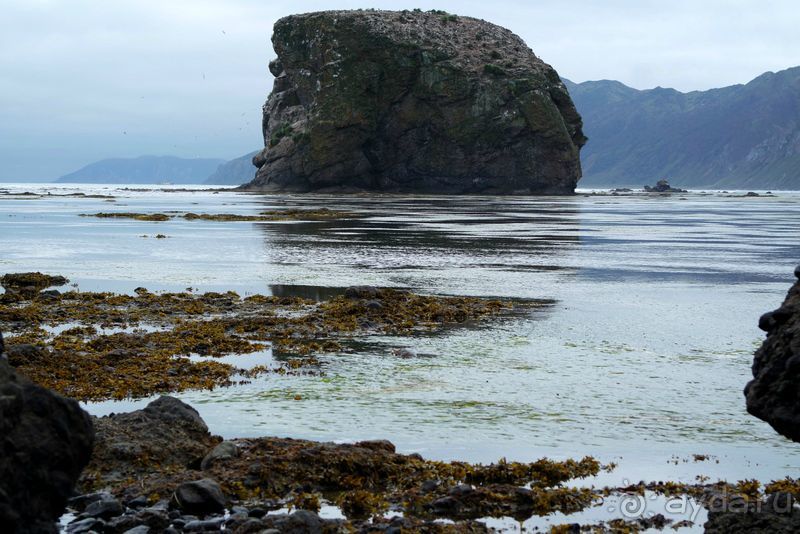 Тишина бухты Тихой.