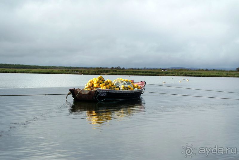 Тишина бухты Тихой.
