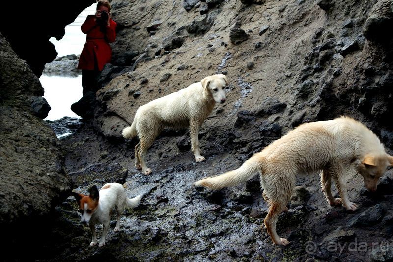 Тишина бухты Тихой.