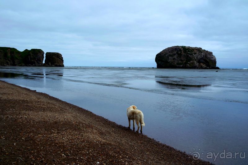 Тишина бухты Тихой.
