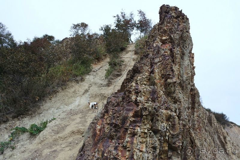 Тишина бухты Тихой.