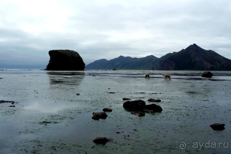 Тишина бухты Тихой.