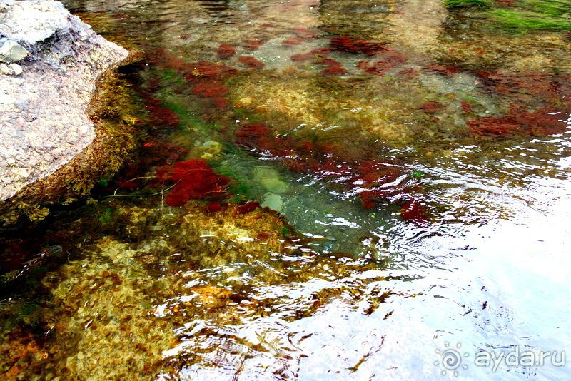 Тишина бухты Тихой.