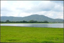 "Минерия " -  рай  для  слонов.