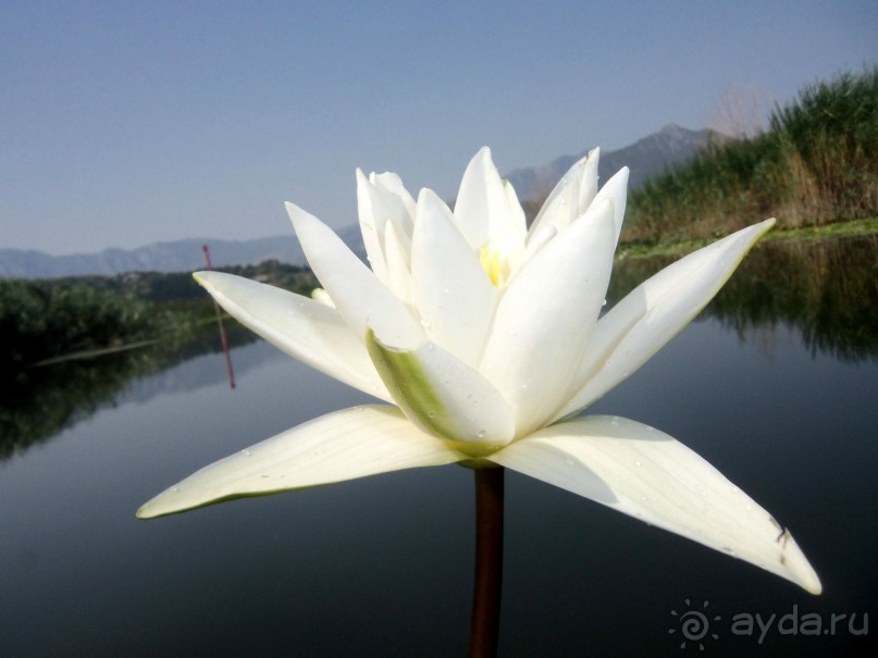 Автостопом по Черногории. Часть вторая.