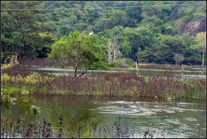 Загадка  скалы  с  Буддами.