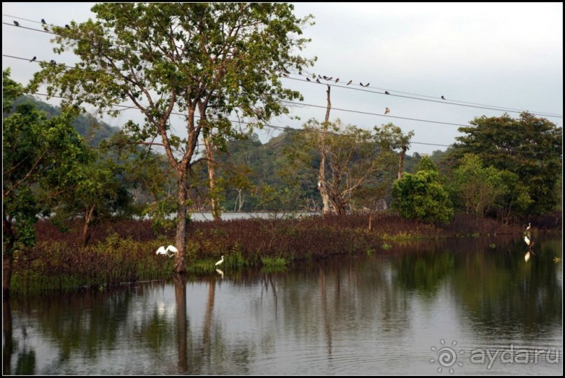 Загадка  скалы  с  Буддами.