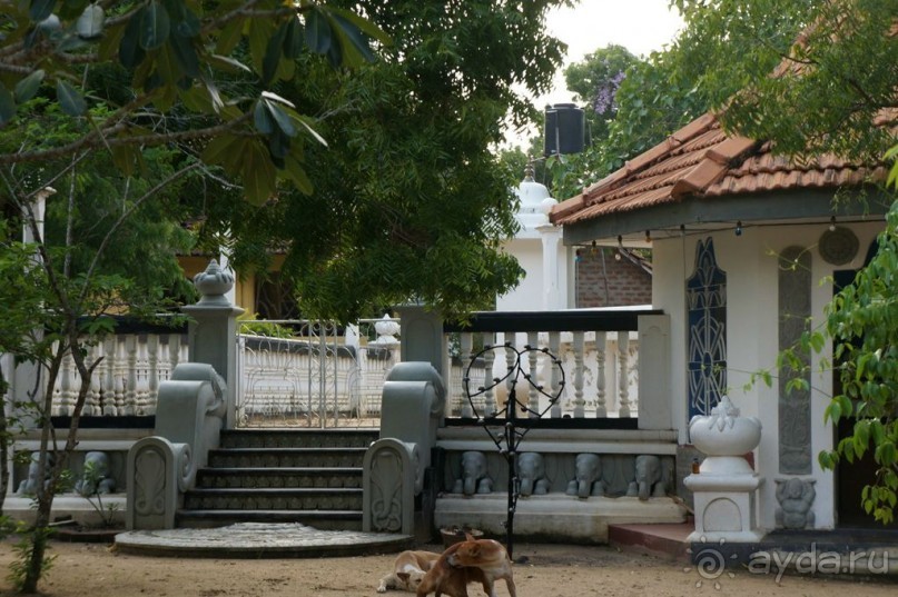 Загадка  скалы  с  Буддами.