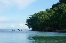 Вулкан     Анак  -   Кракатау...