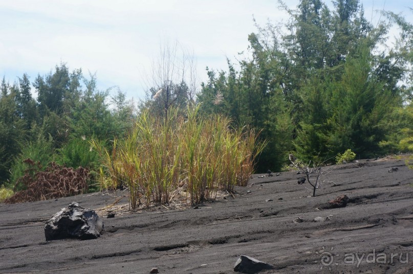 Вулкан     Анак  -   Кракатау...