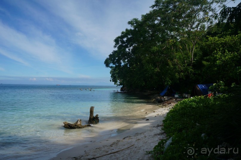 Вулкан     Анак  -   Кракатау...