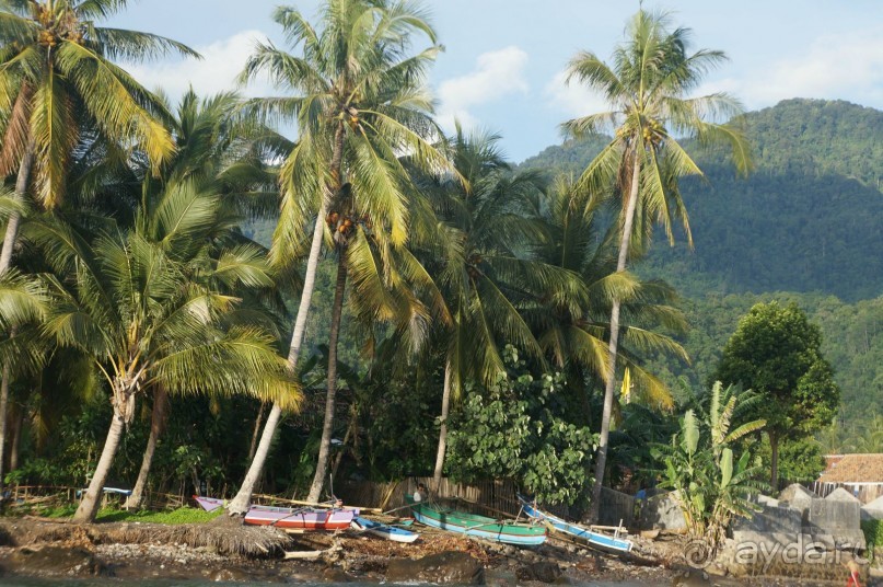 Вулкан     Анак  -   Кракатау...
