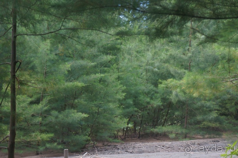 Вулкан     Анак  -   Кракатау...