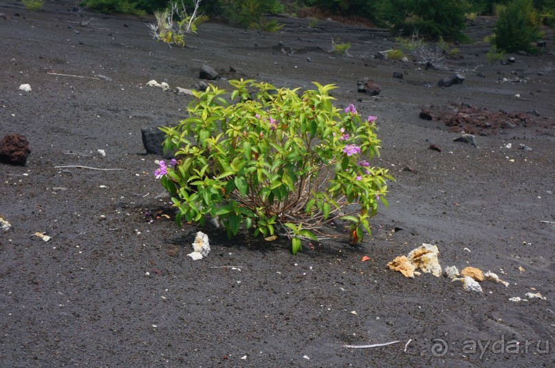 Вулкан     Анак  -   Кракатау...
