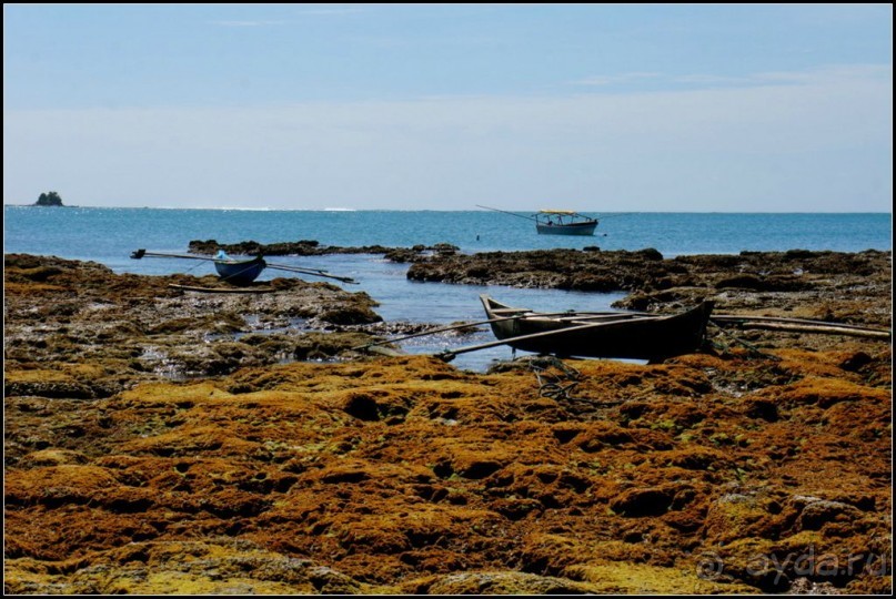 Остров   Ниас.  Пляж  Сорак. Для  любителей  серфинга.