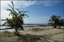 Остров   Ниас.  Пляж  Сорак. Для  любителей  серфинга.