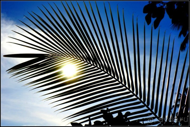 Остров   Ниас.  Пляж  Сорак. Для  любителей  серфинга.