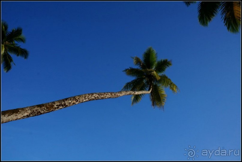 Остров   Ниас.  Пляж  Сорак. Для  любителей  серфинга.