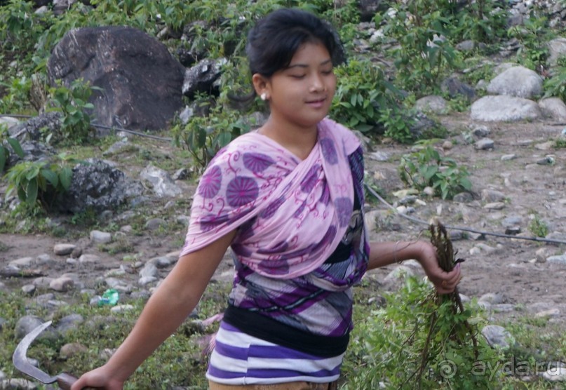 Встречи    на   Непальской    тропе...