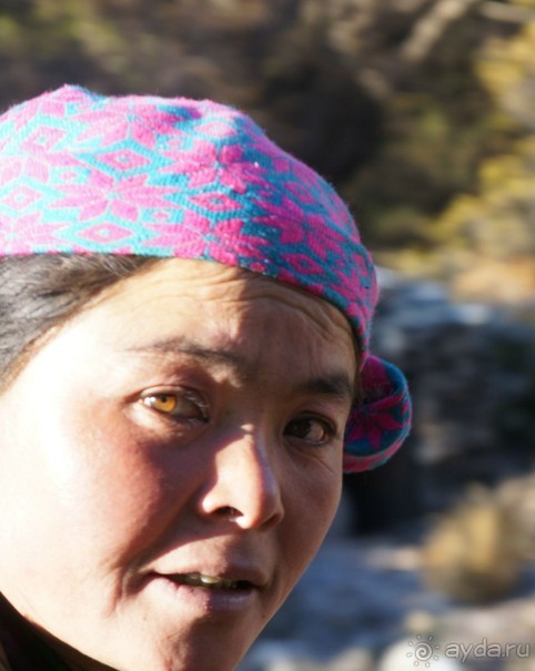 Встречи    на   Непальской    тропе...