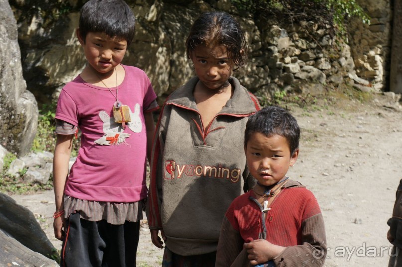 Встречи    на   Непальской    тропе...