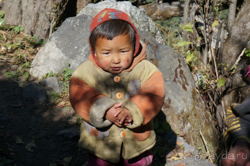 Встречи    на   Непальской    тропе...