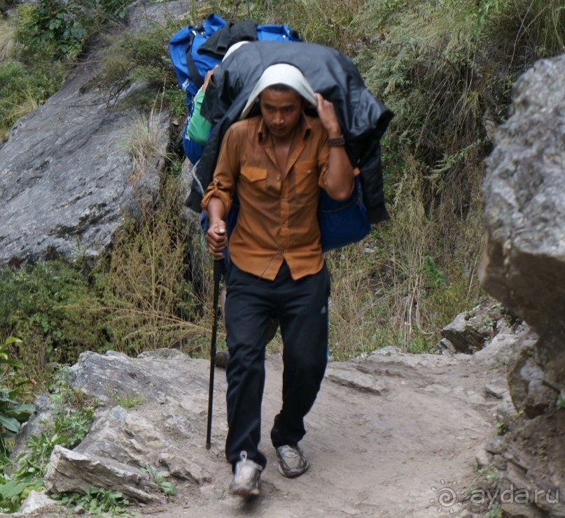 Встречи    на   Непальской    тропе...