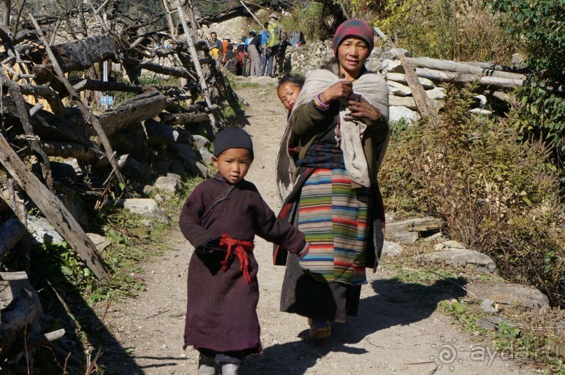 Встречи    на   Непальской    тропе...