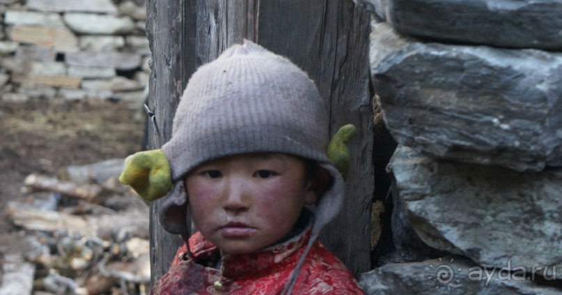 Встречи    на   Непальской    тропе...