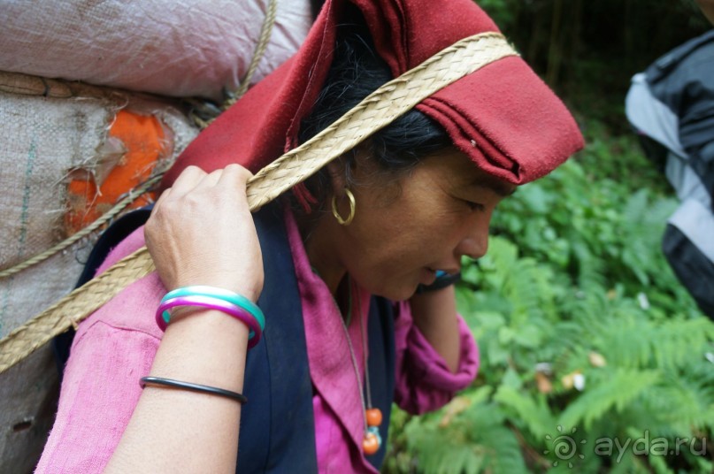 Встречи    на   Непальской    тропе...