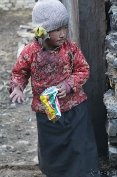 Встречи    на   Непальской    тропе...