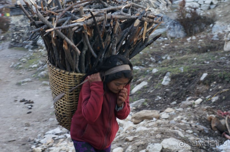 Встречи    на   Непальской    тропе...