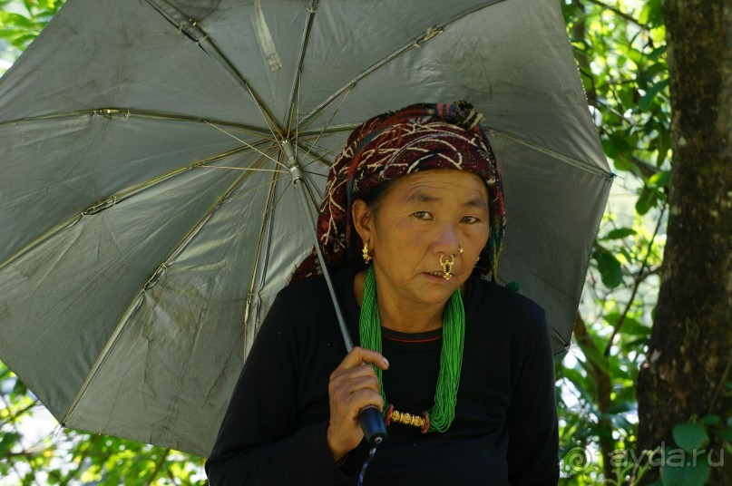 Встречи    на   Непальской    тропе...