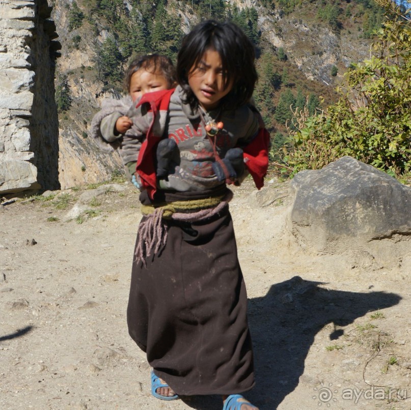 Встречи    на   Непальской    тропе...