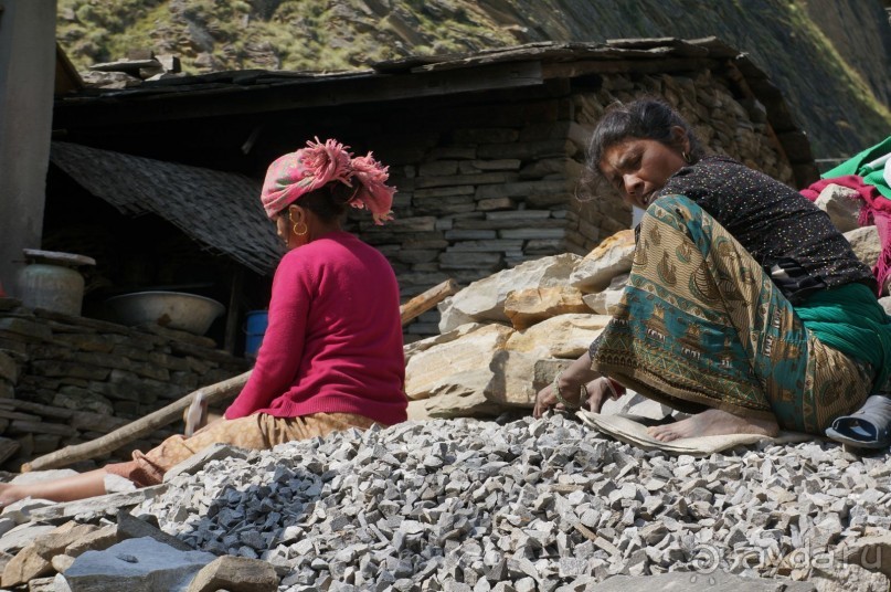 Встречи    на   Непальской    тропе...