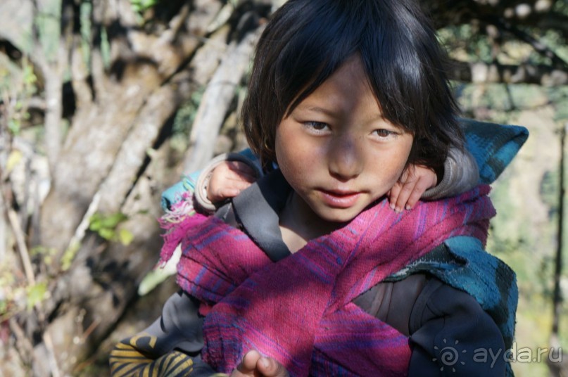 Встречи    на   Непальской    тропе...