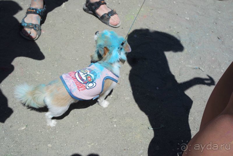 И снова праздник Холи.