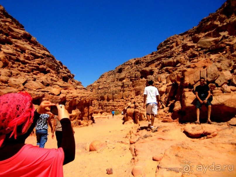 Сафари   по   Синайской   пустыне.  Цветной   каньон.