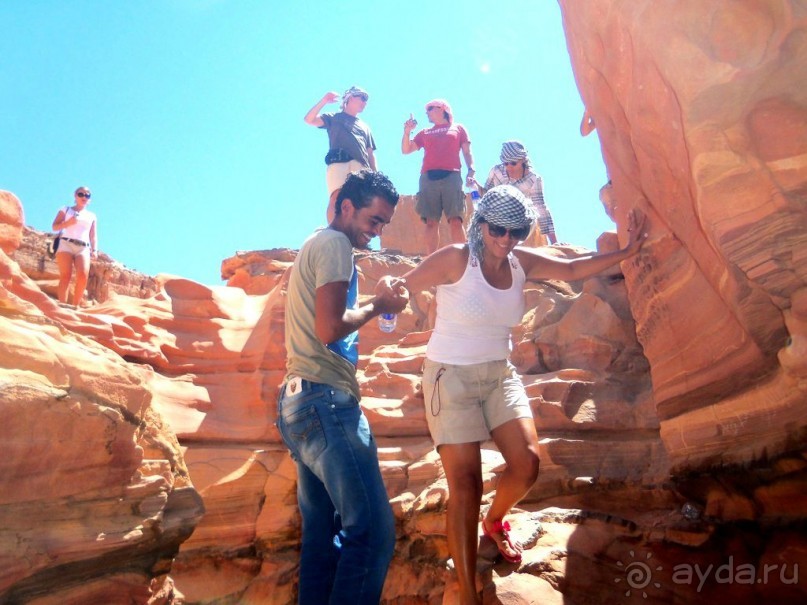 Розовая   сказка.