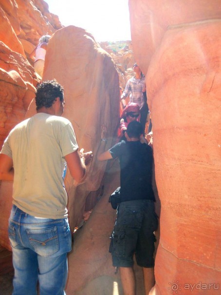 Сафари   по   Синайской   пустыне.  Цветной   каньон.