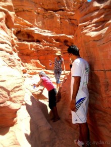 Сафари   по   Синайской   пустыне.  Цветной   каньон.